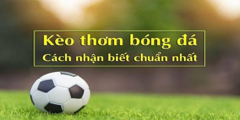 Các dấu hiệu nhận biết có kèo thơm chi tiết