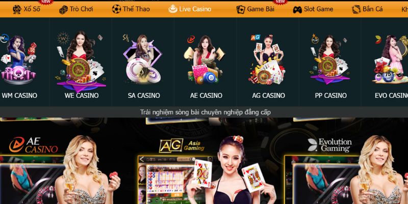 Evo Casino là một sảnh cược có nguồn gốc từ Evolution Gaming.